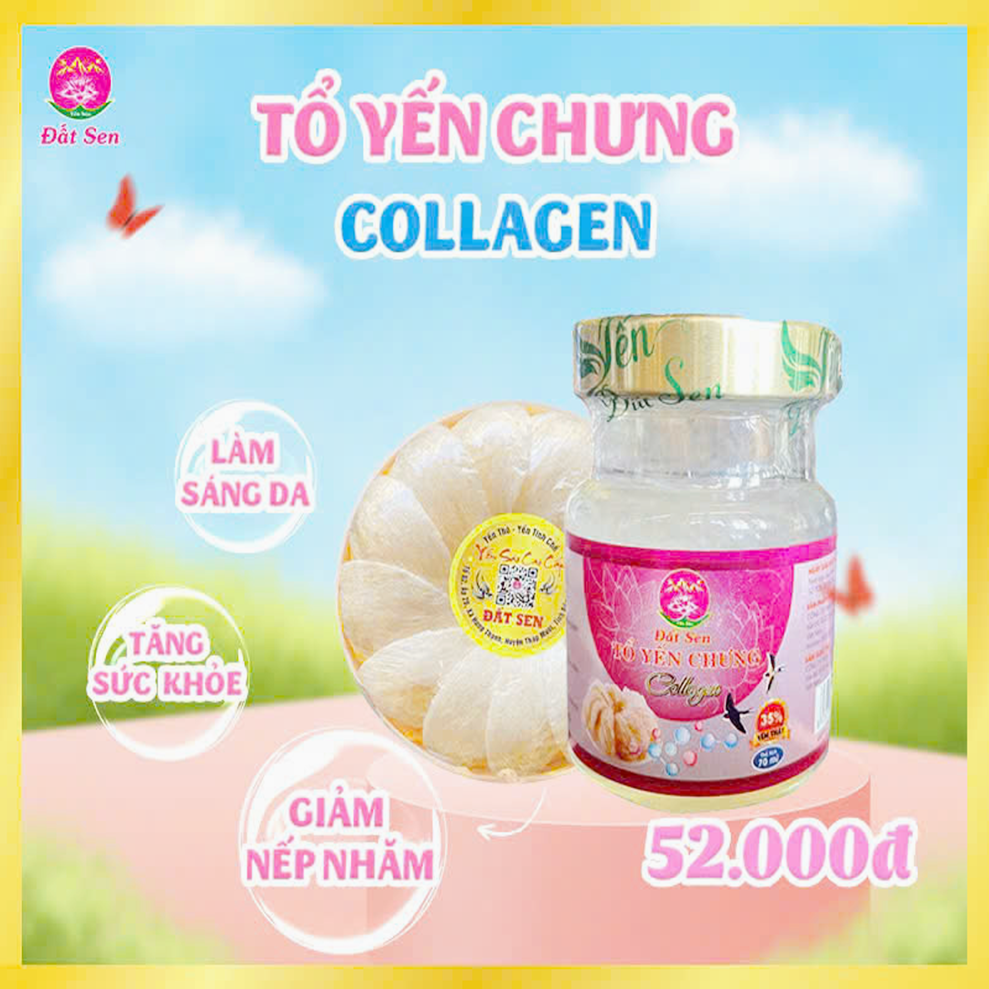 Tổ Yến Chưng Collgen Đất Sen